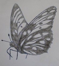 чертеж флюгера бабочки своими руками