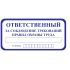 Знак оповещательный ПВХ 010 Охрана труда, 10 на 20 см