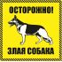 Наклейка   "Осторожно злая собака" №43 (10х10 см)