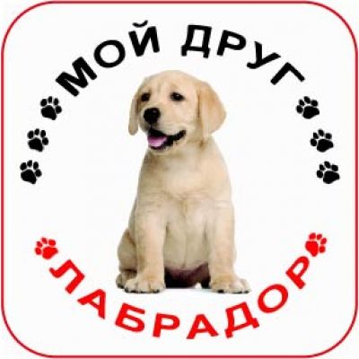Наклейка круглая с собакой 05 - Лабрадор