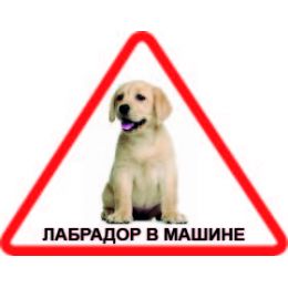 Наклейка треугольная с собакой 05