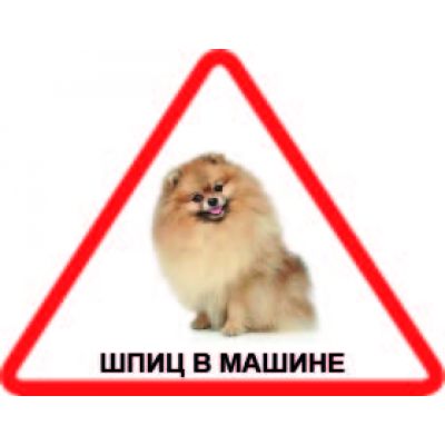 Наклейка треугольная с собакой 010 - Шпиц