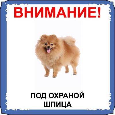 Табличка на  металле с собакой 010 - Шпиц