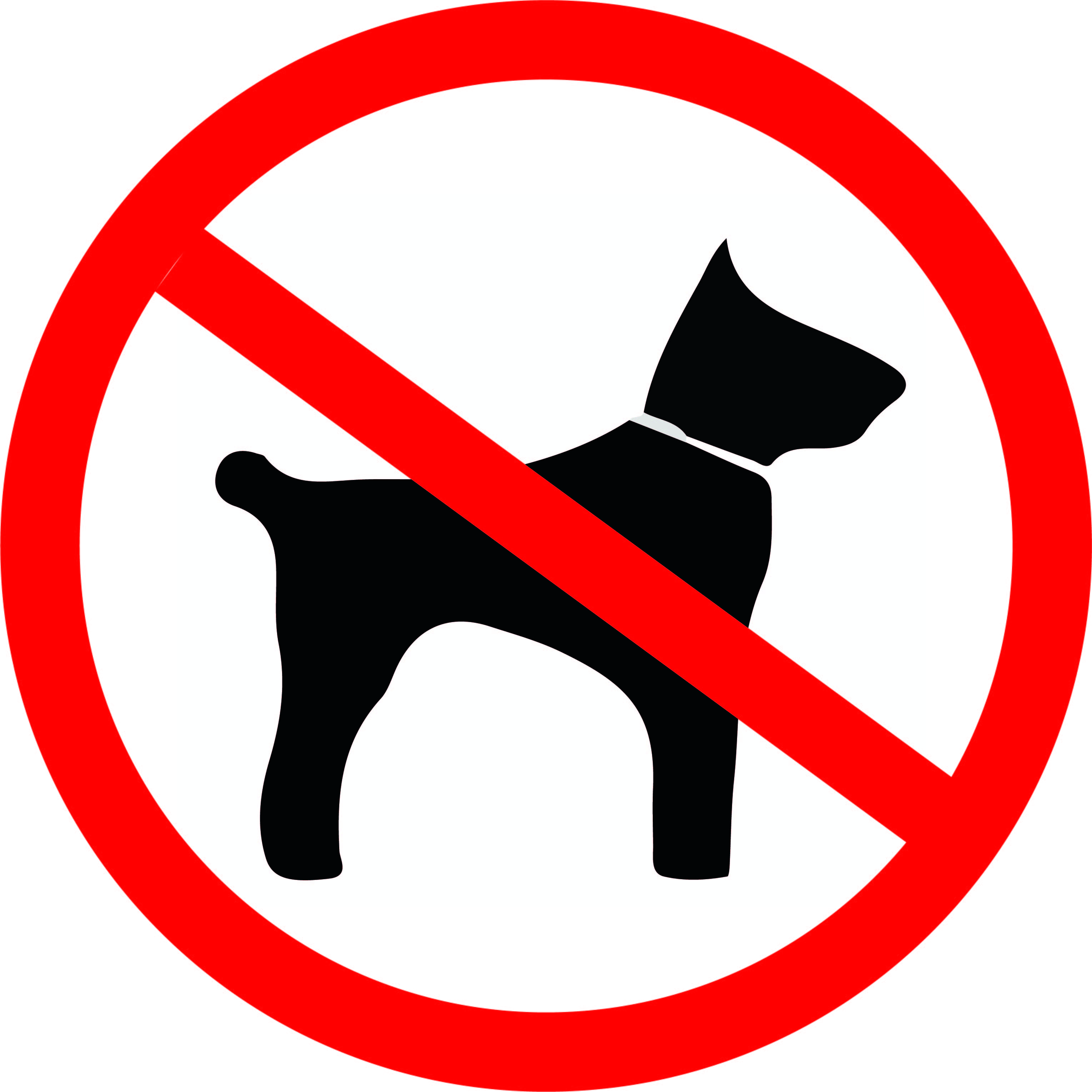 Перечеркнутая собака в круге. Знак с собаками запрещено. С животными вход запрещен знак. Запрещенные собаки. Знак гулять с собаками запрещено.