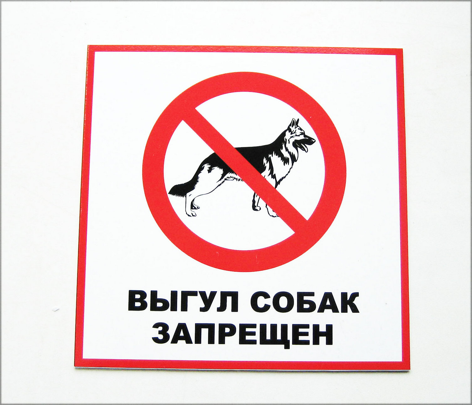 Купить Табличка "Выгул собак запрещен" по привлекательной цене с ...